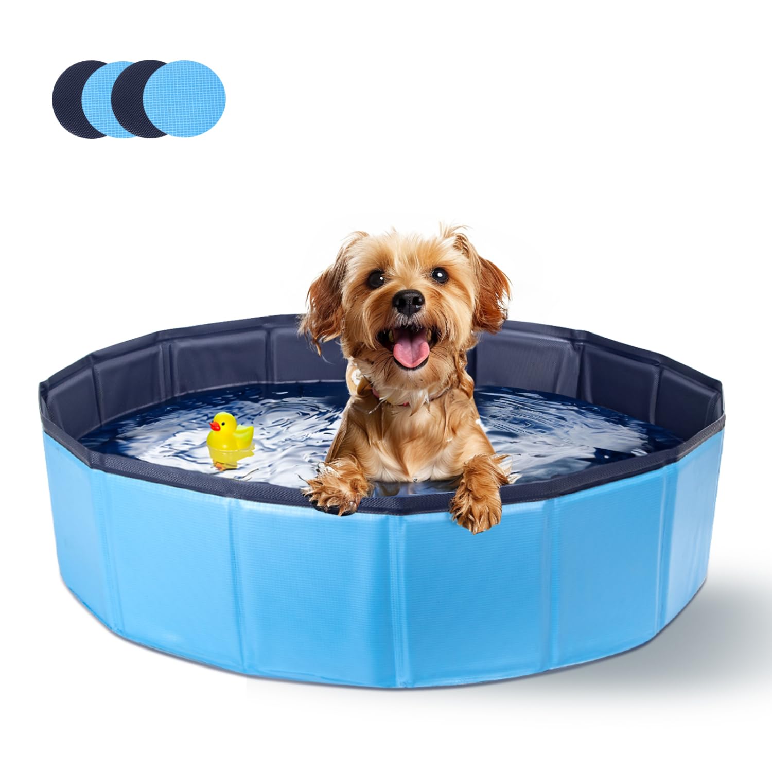 Piscina Plegable para Perros