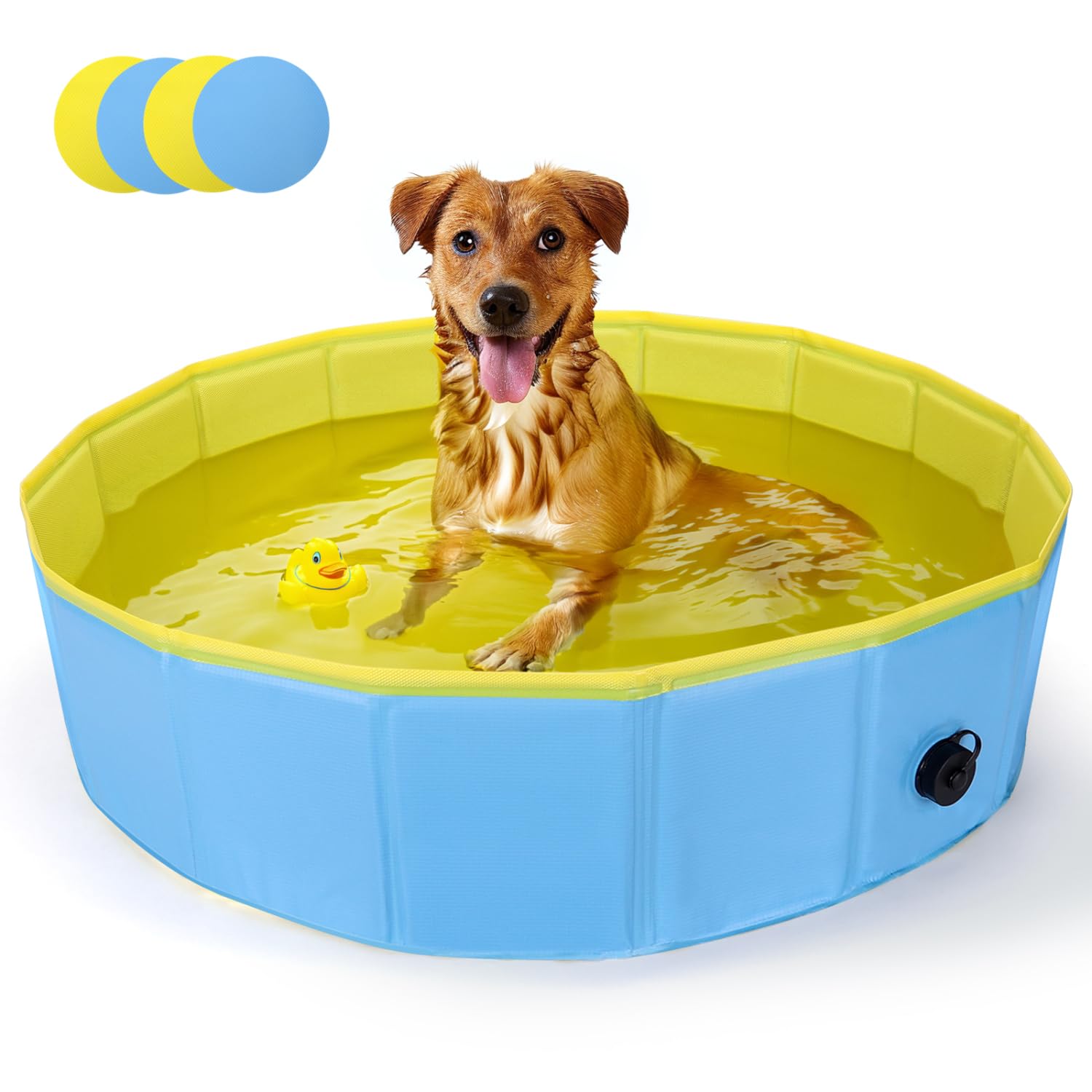 Piscina Plegable para Perros