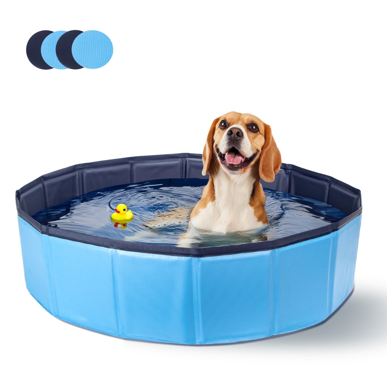 Piscina Plegable para Perros