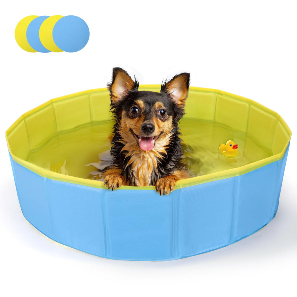Piscina Plegable para Perros