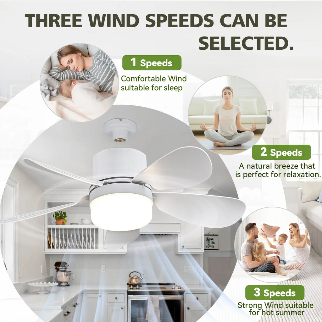 ASALL Socket Fan Light with Remote Control, Portable Small Ceiling Fan with Light for Kitchen,Bedroom, Livingroom, with Dimming Function, 1000 Lumens, Screws into E26/E27