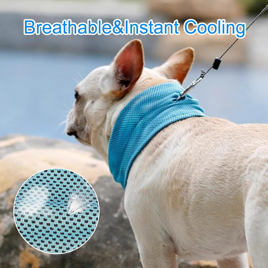 Collar refrigerante para perros
