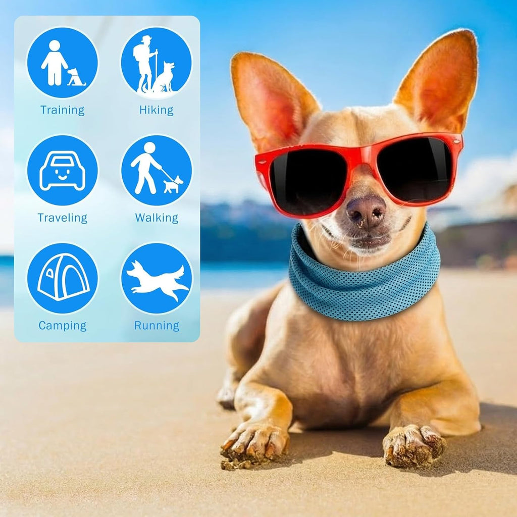 Collar refrigerante para perros