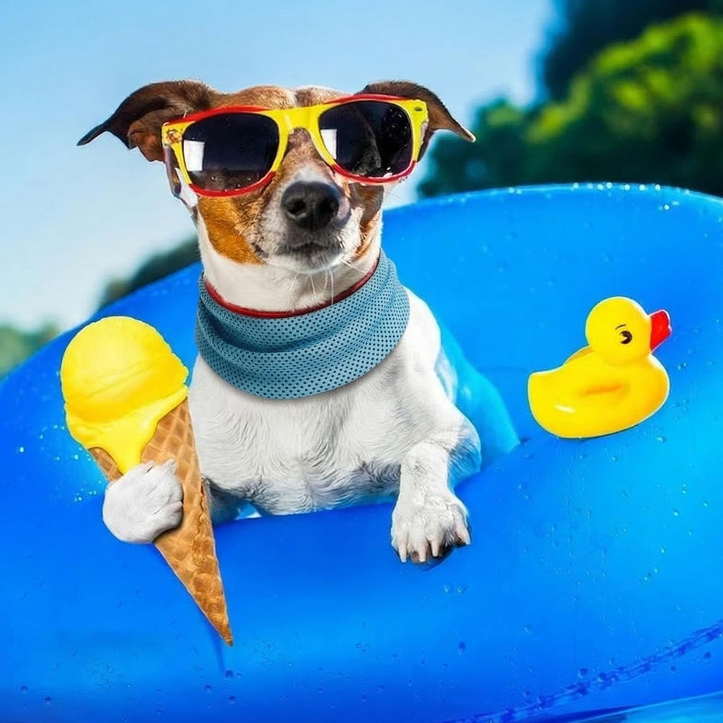 Collar refrigerante para perros