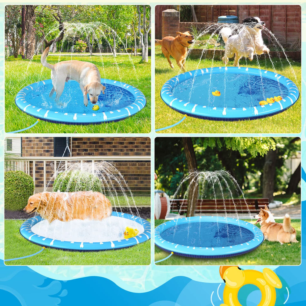 Piscina Plegable para Perros