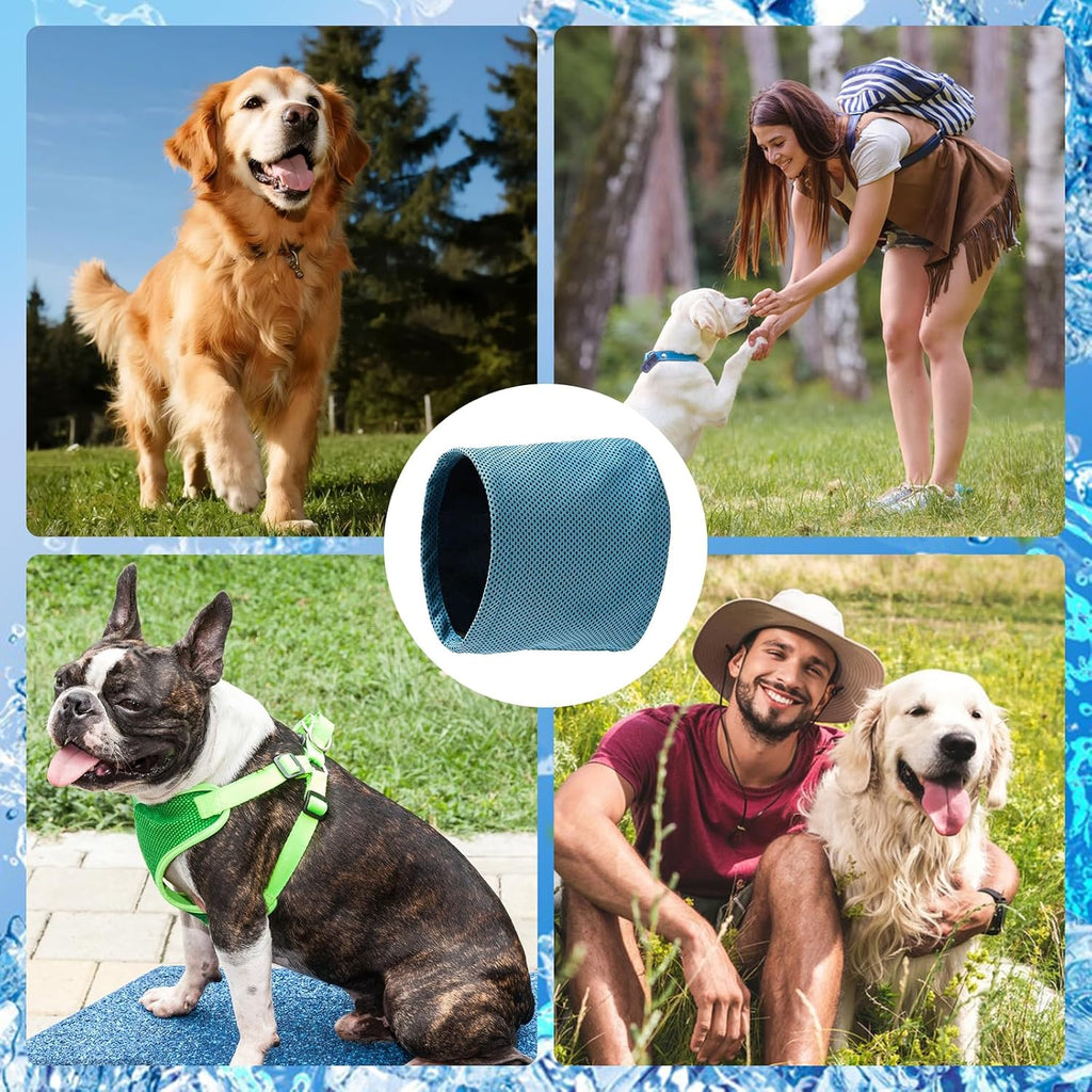 Collar refrigerante para perros