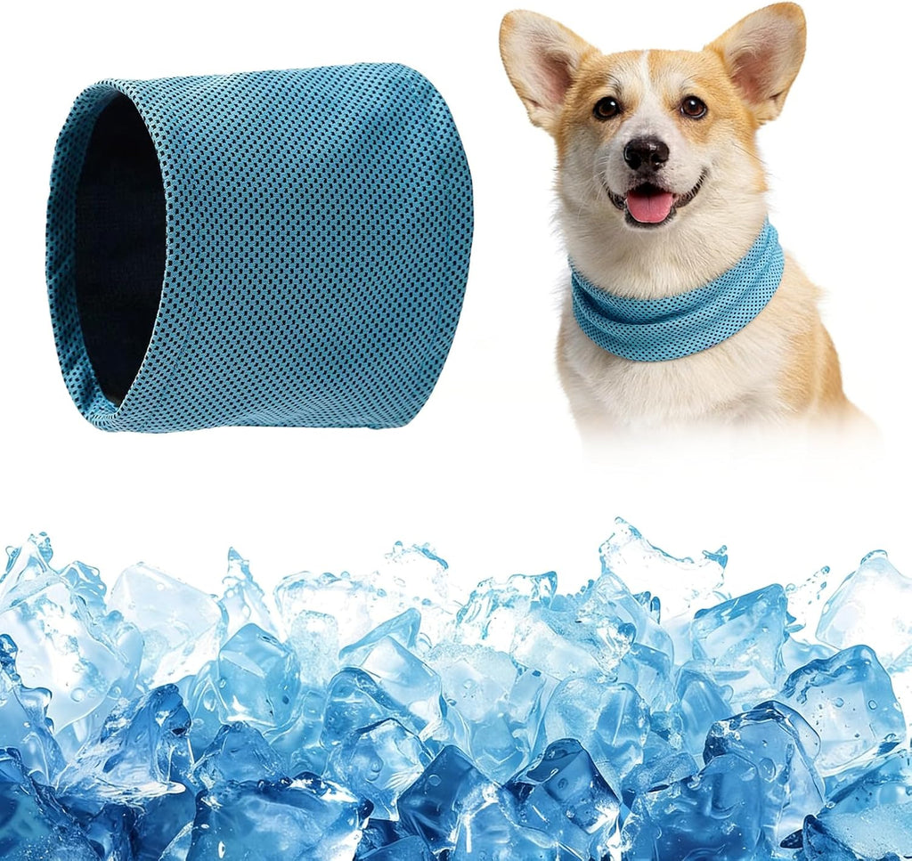 Collar refrigerante para perros