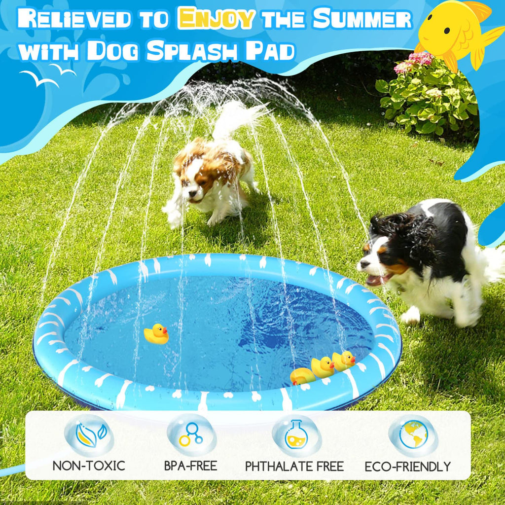 Piscina Plegable para Perros